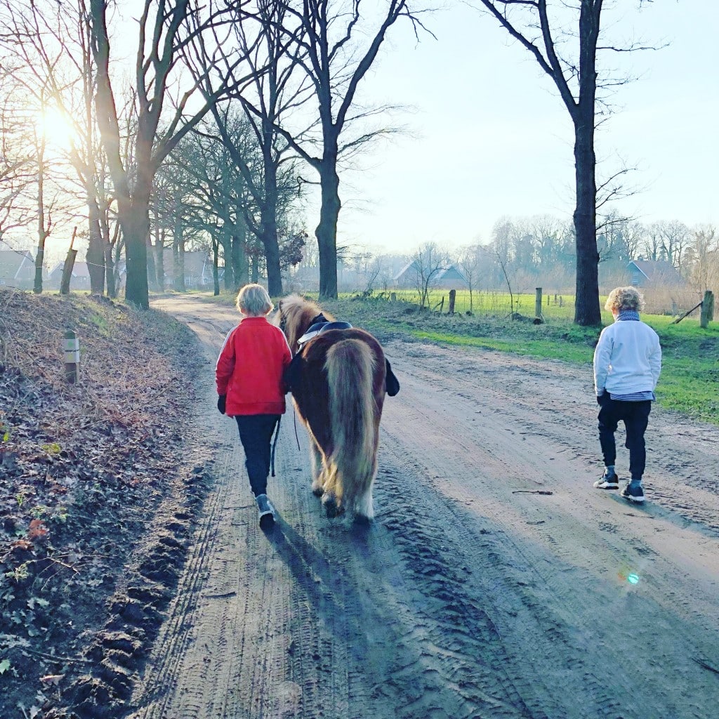 leuke studiedag uitjes 