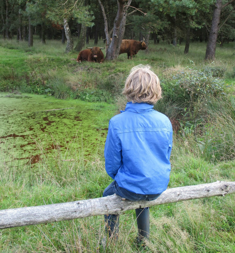 Uitjes omgeving Hellendoorn