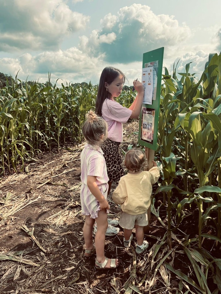 Groot twentsch maidoolhof en pluktuin fleringen